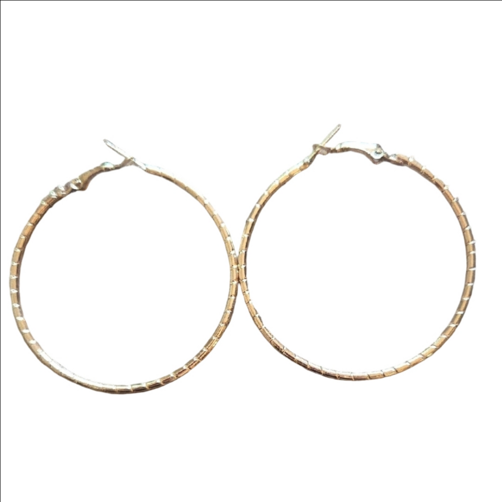 Gold Tone Hoop Earrings